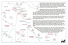 kin44 to torres strait_thumb.gif